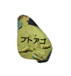 ゆきたん爬虫類・両生類スタンプ！（個別スタンプ：23）