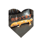 ゆきたん爬虫類・両生類スタンプ！（個別スタンプ：26）