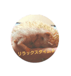 ハリネズミ とげまる＆まろん（個別スタンプ：7）
