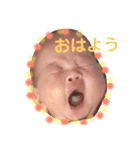 あおいとゆかいな仲間たち（個別スタンプ：1）