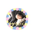 あおいとゆかいな仲間たち（個別スタンプ：3）