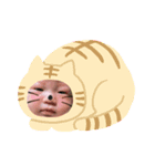 あおいとゆかいな仲間たち（個別スタンプ：13）