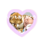 あおいとゆかいな仲間たち（個別スタンプ：14）