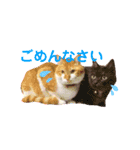 あおいとゆかいな仲間たち（個別スタンプ：16）