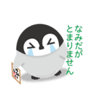 ぺんぎんと色紙（個別スタンプ：11）