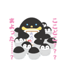 ぺんぎんと色紙（個別スタンプ：31）