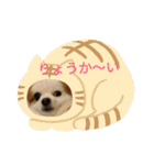 あずこもちょびちゃこ（個別スタンプ：6）