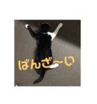 あずこもちょびちゃこ（個別スタンプ：13）