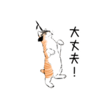 ひろいえ猫づくし（個別スタンプ：8）