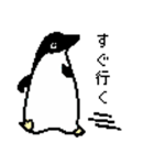 ペペンギンペンペングィン ドット（個別スタンプ：9）