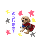 MOKA★スタンプ。（個別スタンプ：1）