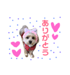 MOKA★スタンプ。（個別スタンプ：2）