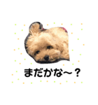 MOKA★スタンプ。（個別スタンプ：5）