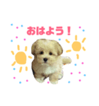 MOKA★スタンプ。（個別スタンプ：6）