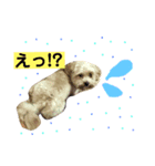 MOKA★スタンプ。（個別スタンプ：8）