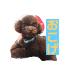 おこげ しりーず1（個別スタンプ：1）