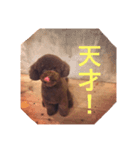 おこげ しりーず1（個別スタンプ：3）