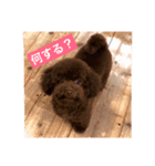 おこげ しりーず1（個別スタンプ：4）