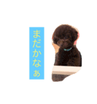 おこげ しりーず1（個別スタンプ：6）