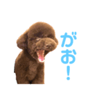 おこげ しりーず1（個別スタンプ：7）