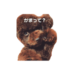 おこげ しりーず1（個別スタンプ：8）