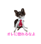 あんこくんのつぶやき（個別スタンプ：2）