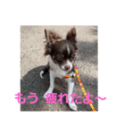 あんこくんのつぶやき（個別スタンプ：9）