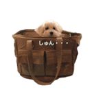 ちっちのきもち（個別スタンプ：1）