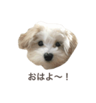 ちっちのきもち（個別スタンプ：2）