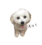 ちっちのきもち（個別スタンプ：10）