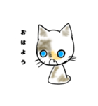 僕の愛猫、のら（個別スタンプ：1）