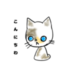 僕の愛猫、のら（個別スタンプ：2）