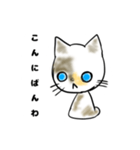 僕の愛猫、のら（個別スタンプ：3）