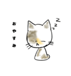 僕の愛猫、のら（個別スタンプ：4）