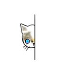 僕の愛猫、のら（個別スタンプ：5）