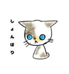 僕の愛猫、のら（個別スタンプ：6）