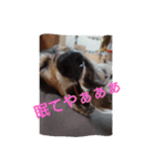 りくじぃの尾張弁（個別スタンプ：1）