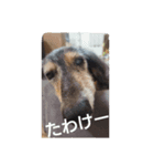 りくじぃの尾張弁（個別スタンプ：3）