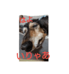 りくじぃの尾張弁（個別スタンプ：4）