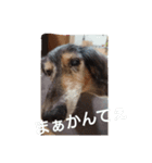 りくじぃの尾張弁（個別スタンプ：6）