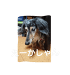 りくじぃの尾張弁（個別スタンプ：7）
