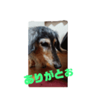 りくじぃの尾張弁（個別スタンプ：9）