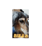 りくじぃの尾張弁（個別スタンプ：10）