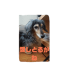 りくじぃの尾張弁（個別スタンプ：14）
