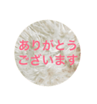 ほんわか伝わる言葉（個別スタンプ：1）