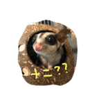 きなこパート2（個別スタンプ：23）