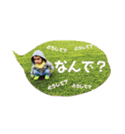 わが家のあおぴー ③（個別スタンプ：33）