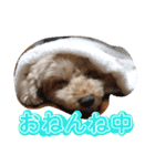 アロマの生活（個別スタンプ：8）