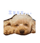 アロマの生活（個別スタンプ：9）