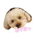 アロマの生活（個別スタンプ：10）